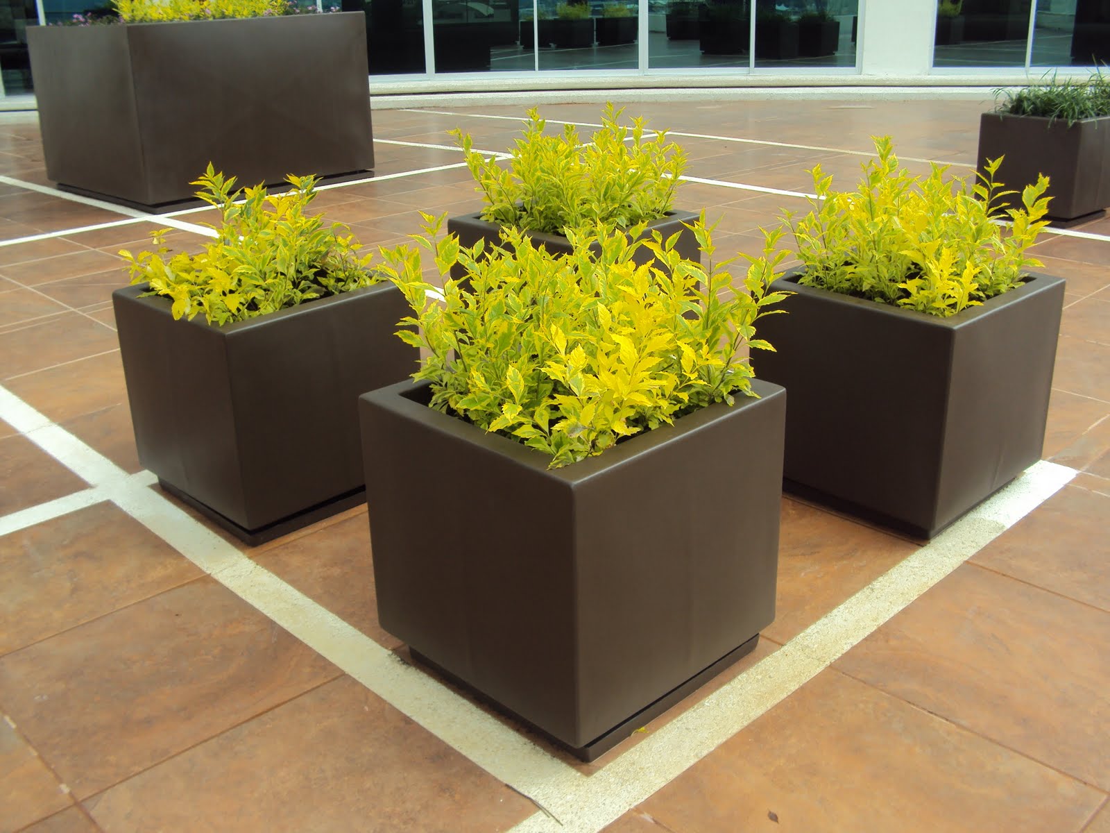 Macetas para proyectos de paisajismo Macetas para proyectos de paisajismo