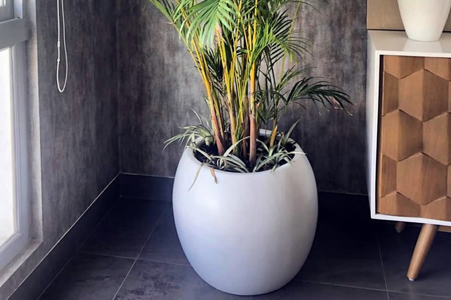 Macetas para proyectos de paisajismo Macetas para proyectos de paisajismo