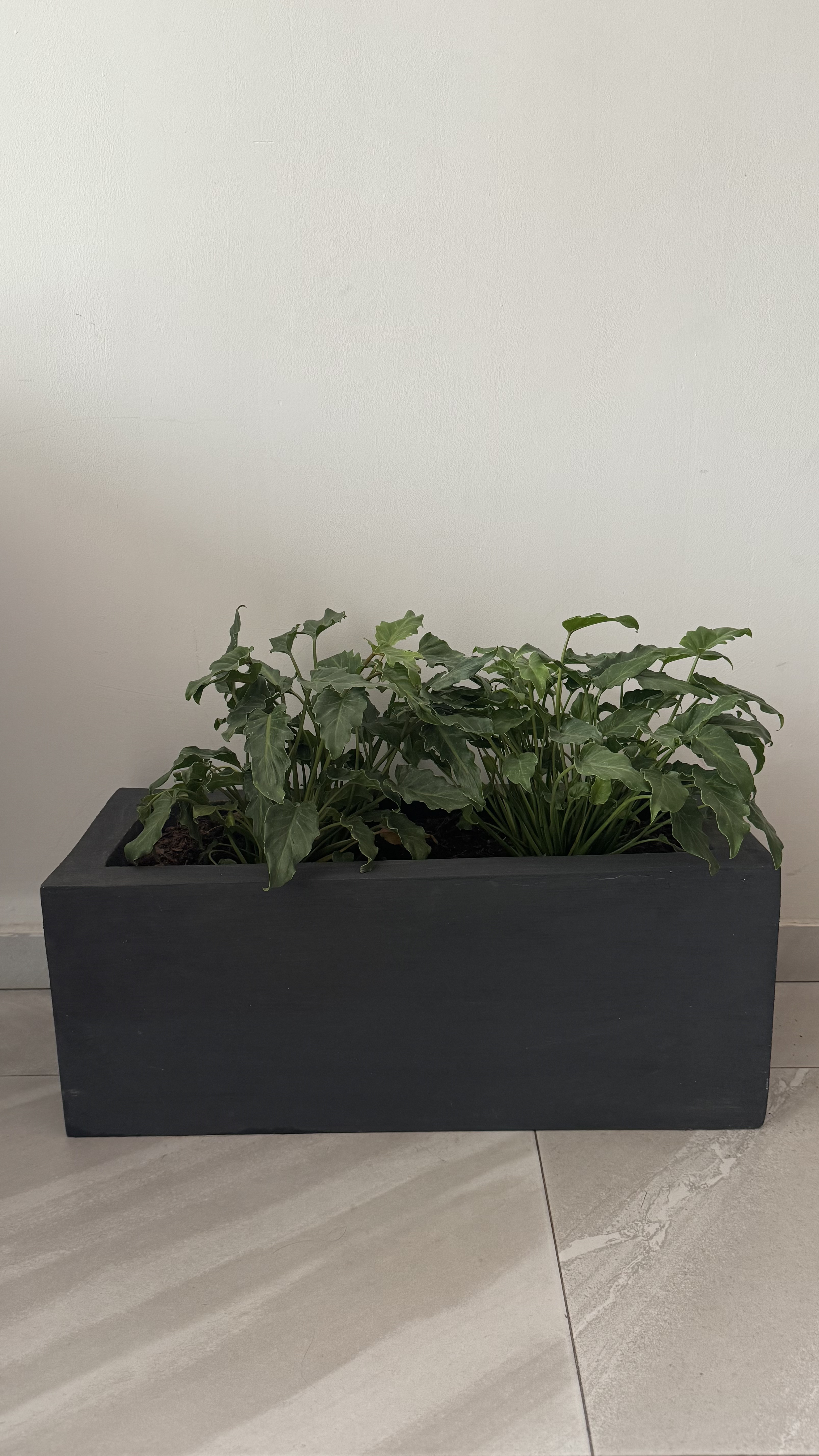 Macetas personalizadas Guadalajara Macetas personalizadas Guadalajara