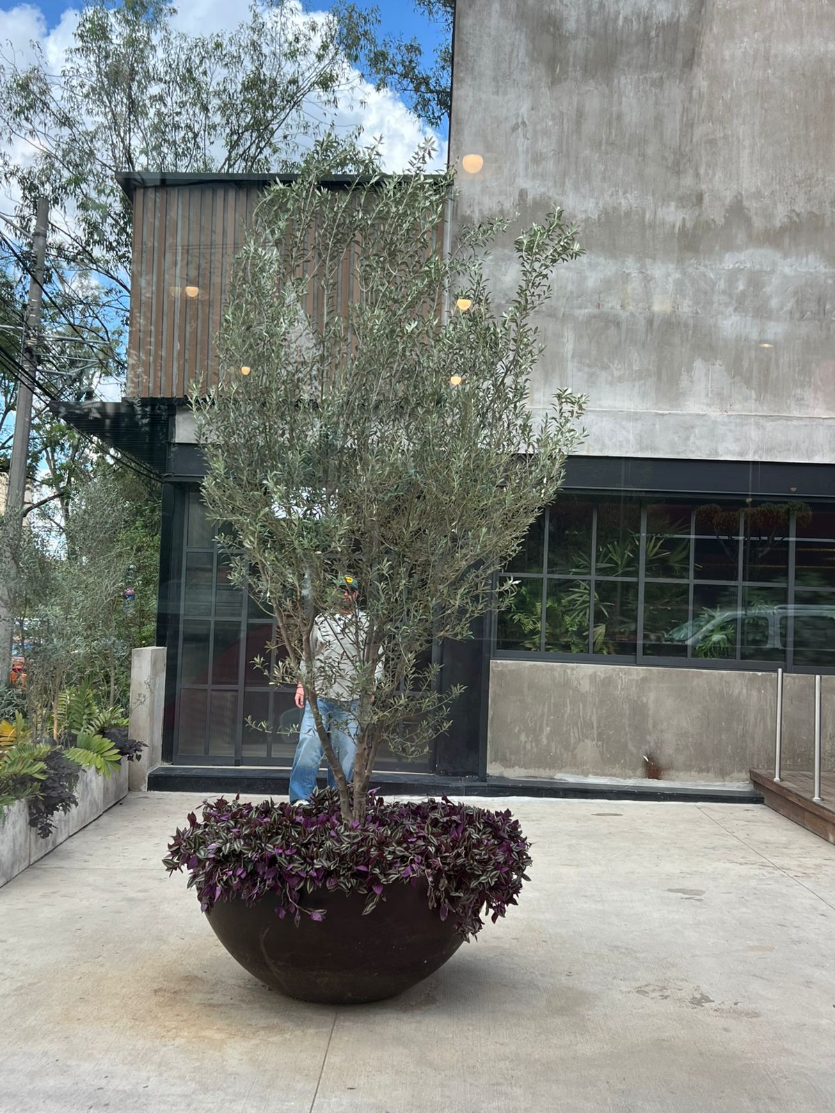 Macetas decorativas Macetas decorativas