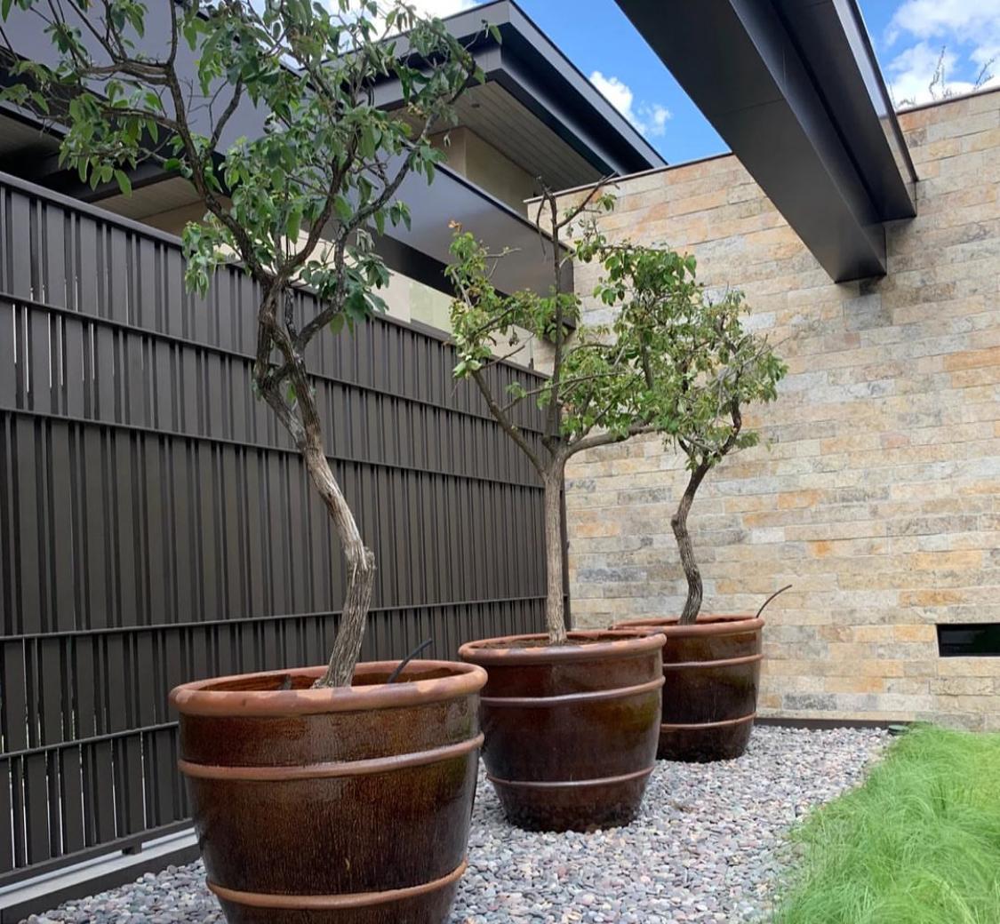 Macetas de fibra de vidrio Guadalajara Macetas de fibra de vidrio Guadalajara