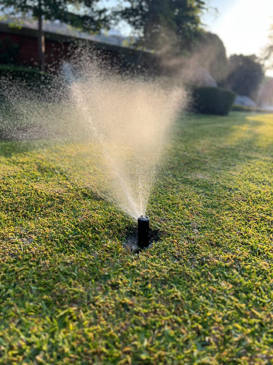 Riego por goteo Riego por goteo