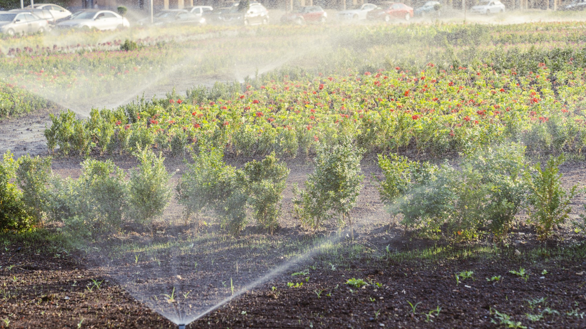 Instalación de sistemas de riego Instalación de sistemas de riego